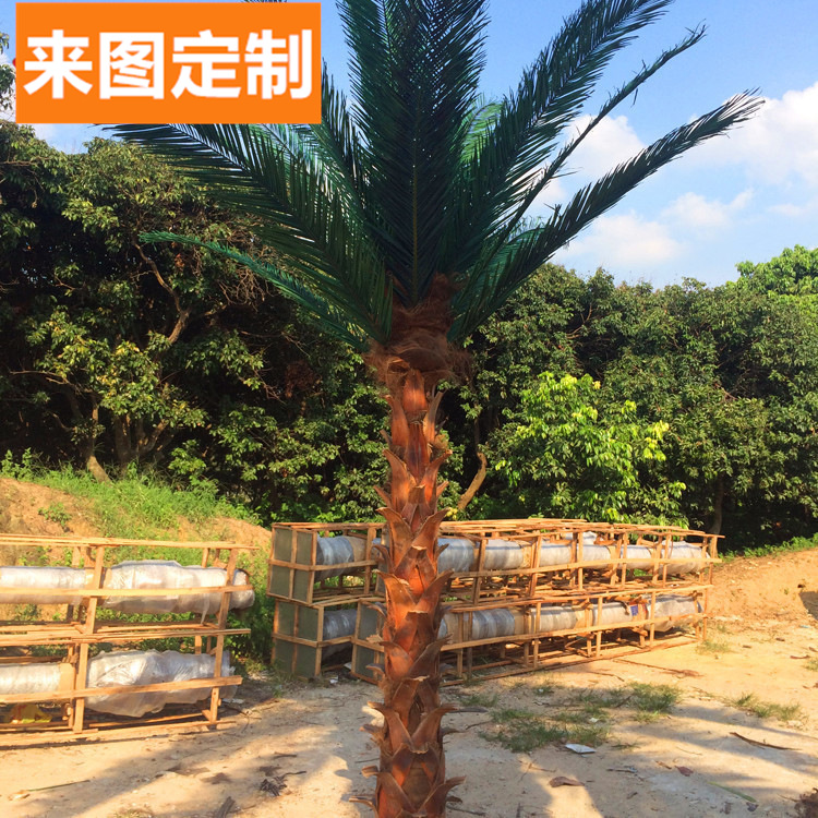 工厂仿真树定做仿真棕榈树葵树 各种室内外装饰景点人造假树|ruв категории Домашний быт, ваза/цветок/искусственные цветы/моделирование украшения, бонсай моделирования растений - от Buy2taobao.com для оказания профессиональной услуги покупки агента Taobao