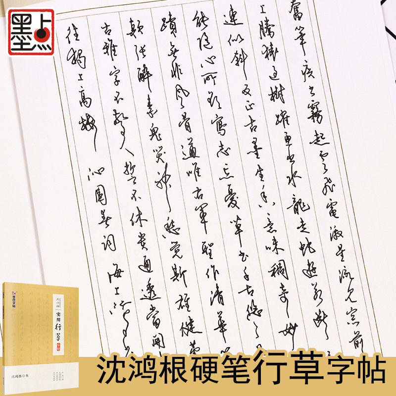者练字帖成年古风清秀漂亮潦草钢笔书法练字手写体沈鸿根实用行草字帖