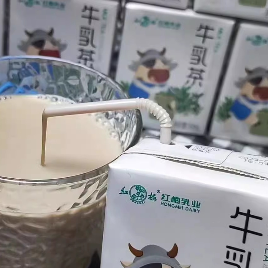 常州知名红梅乳业牛乳茶200ml每盒优质乳源营养健康美味早餐饮料