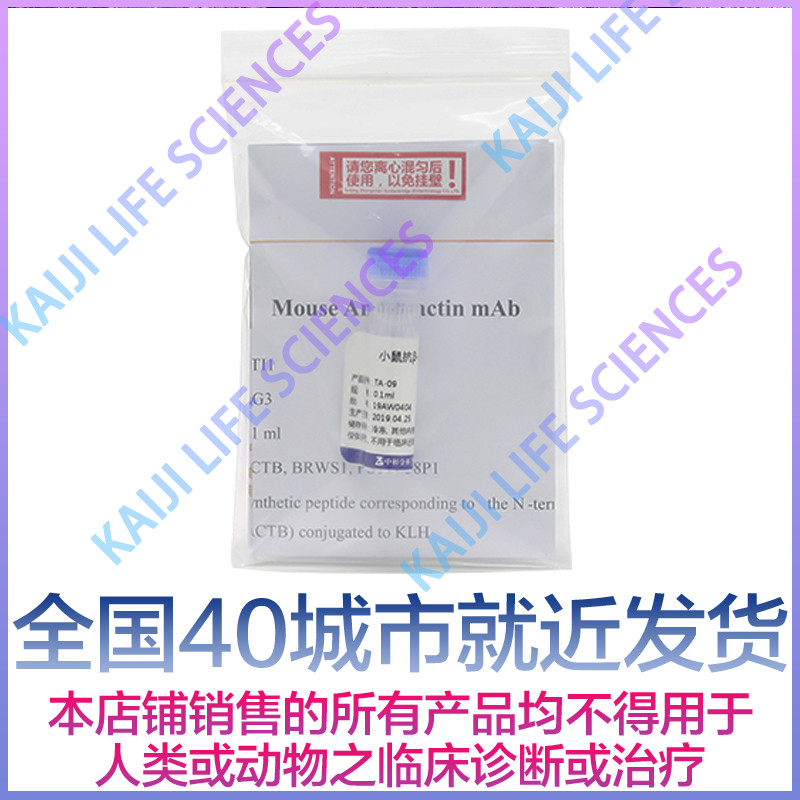 中杉金桥 TA-09 小鼠抗β肌动蛋白单抗 β-Actin 0.1ml -20℃运输