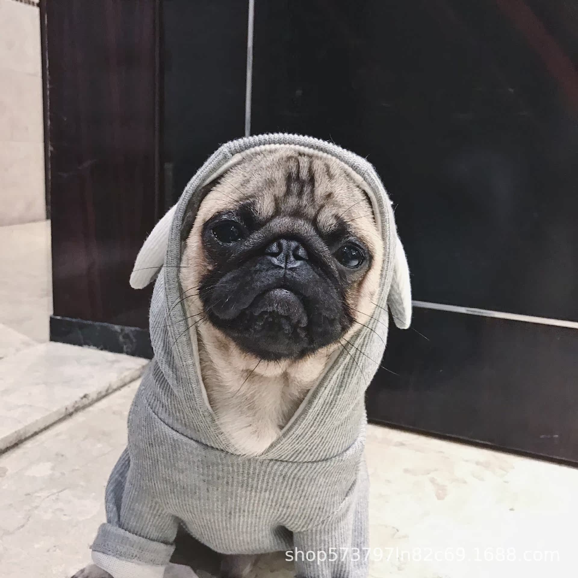 特价狗狗衣服比熊秋冬新款 中型_泰迪2019年网红狗狗宠物衣服比熊服饰