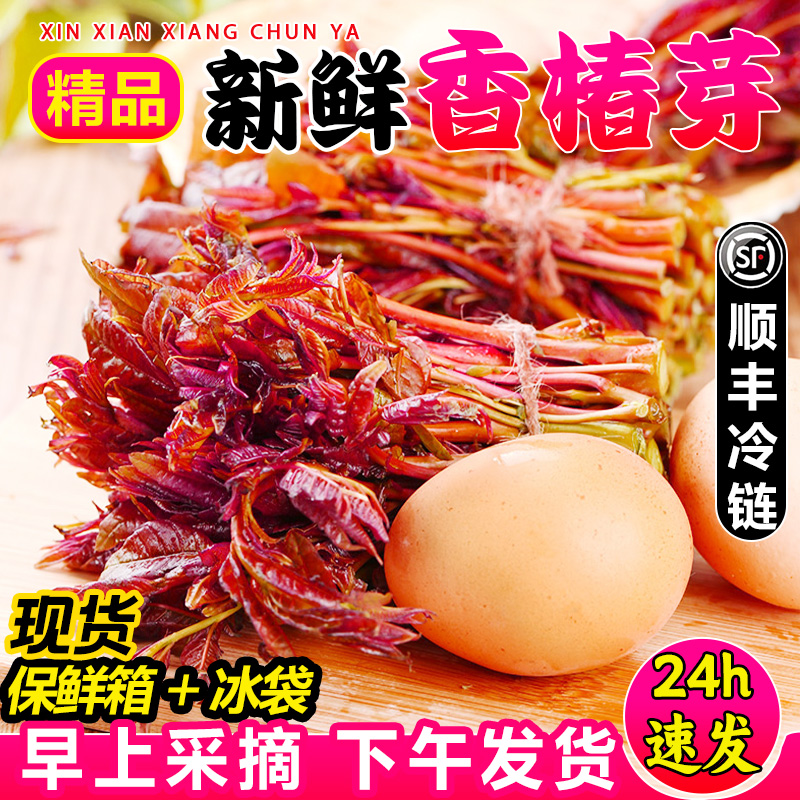 【现货顺丰】现摘新鲜头茬香椿芽春芽