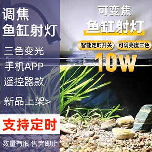 变焦12W鱼缸射灯南美造景专用灯三湖观赏原生缸水草灯小型鱼缸灯