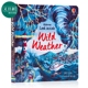 Usborne Look Inside系列 看里面揭秘恶劣天气 Wild Weather 低幼科普翻翻书启蒙认知 纸板书 英文原版 3-6岁