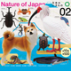 日本正版IKIMON 第2弹 日本自然界的生物扭蛋 秋田犬黄缘龟朱鹮