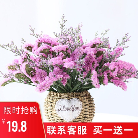 云南大束勿忘我干花花束真花满天星家居摆设风干鲜花插花装饰摆件