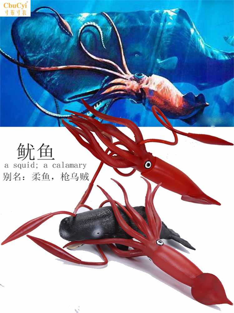 仿真野生海洋动物模型鱿鱼乌贼抹香鲸生物科教故事儿童益智玩具在类目 玩具/童车/益智/积木/模型, 仿真/过家家玩具, 仿真/动物玩偶中 - 来自Buy2taobao.com提供专业的淘宝代购服务