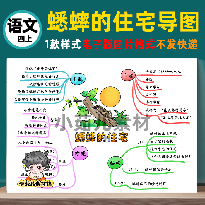 B421四语上《蟋蟀的住宅》思维导图线稿电子版图片素材