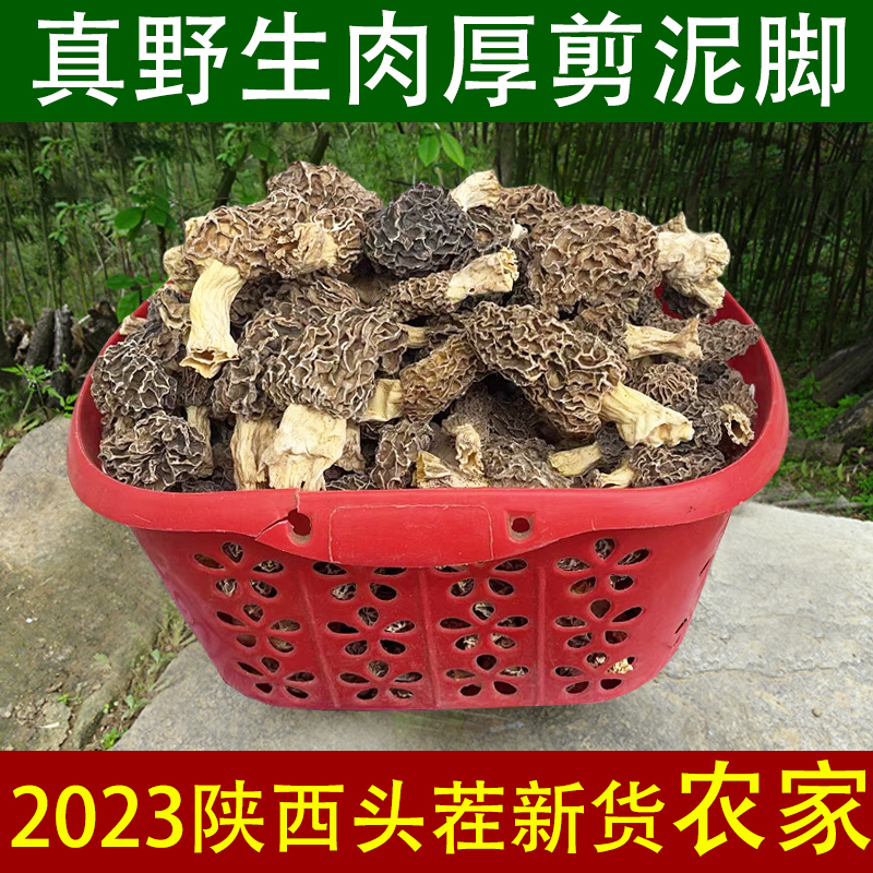 野生羊肚菌2023头茬剪泥脚干货陕西天然羊蘑菇500g比西藏云南更好