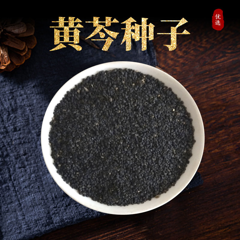 2020年8月新采收黄芩黄芩籽中药