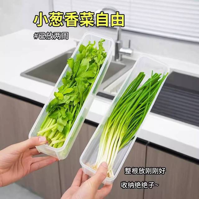 保鲜盒大小葱香菜芫荽整根姜蒜面条鸡蛋收纳整理盒冰箱专用