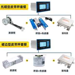 正品高精度电子皮带秤称重仪表定量配料控制器螺旋称给煤上料机输