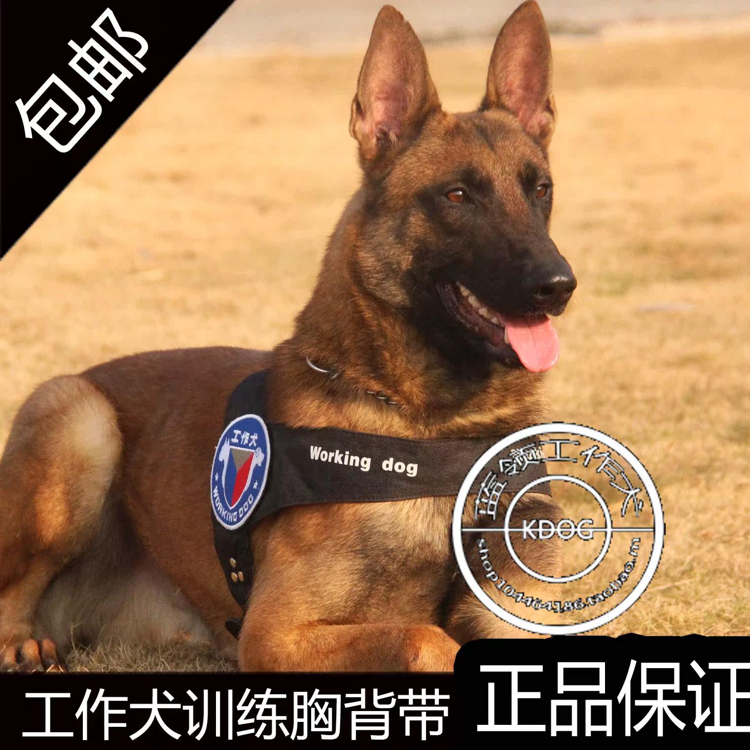 热销军犬狗链子牵引绳 大型犬_警犬牵引绳狗背带胸带狗链子中大型犬k9