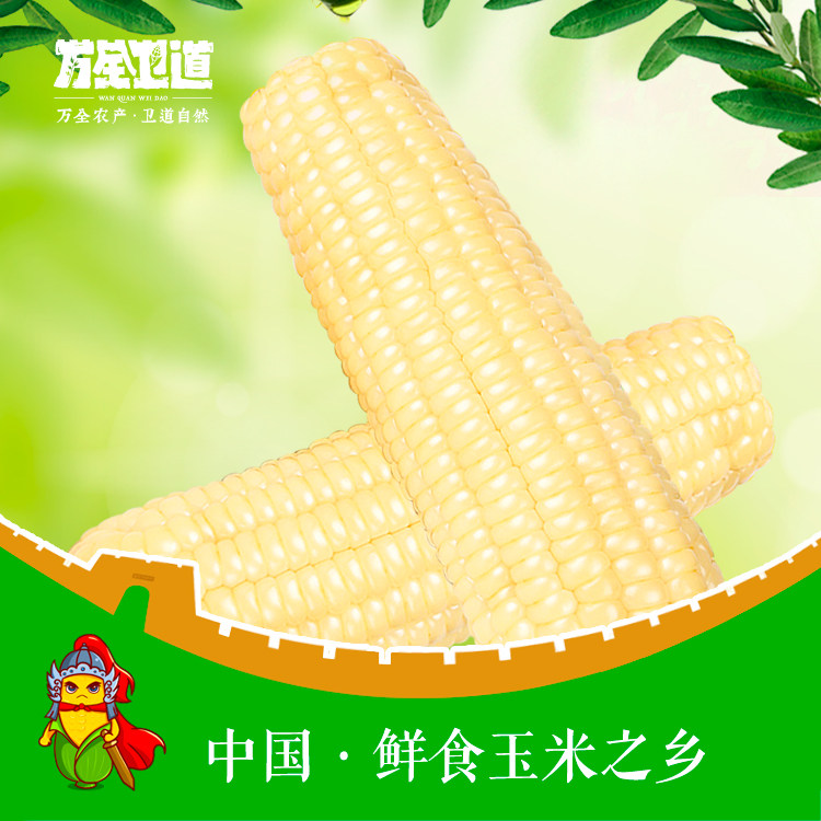 热销卫道夫_万全卫道 新鲜万全白糯玉米真空包装粘糯早餐8支装甜玉米