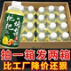 【买一送一】枇杷炖梨360ML*6/24小瓶装雪梨解渴果味饮料整箱特价