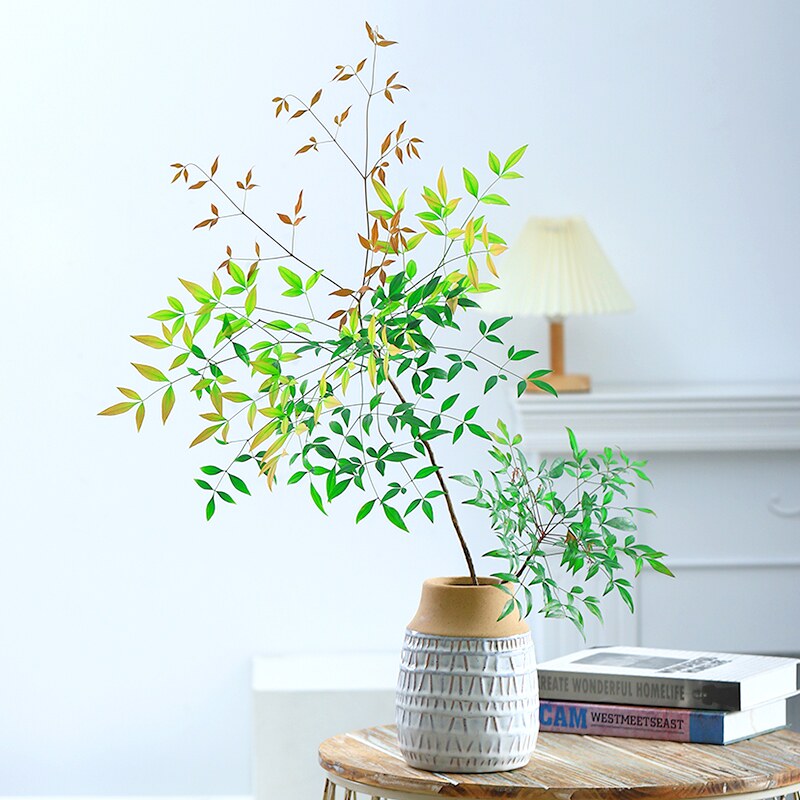 火焰南天竹水养盆栽鲜切枝条水培植物马醉木青竹室内绿植花卉好养