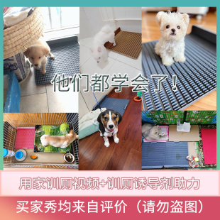 狗狗厕所特大型犬超大号防踩屎平板式尿盆可拼接中小型犬便盆包邮