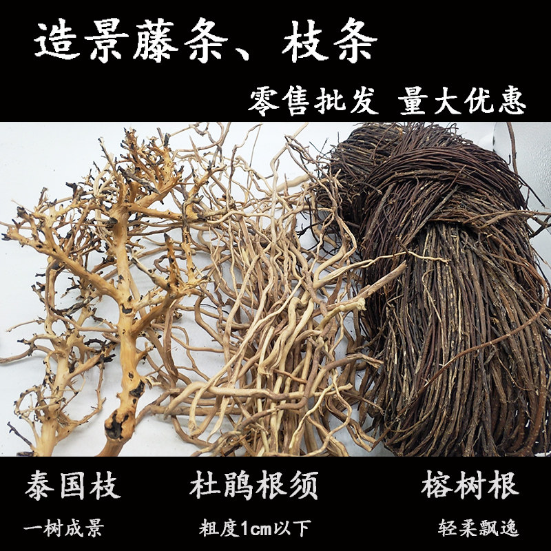 鱼缸造景装饰藤条龙须根榕树根须泰国枝杜鹃根细枝条沉木巴西树