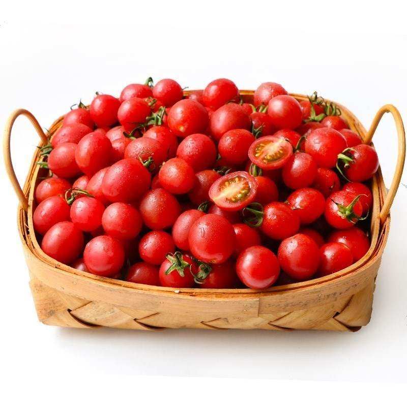 热卖千禧小番茄带箱5新鲜圣女果小西红柿千禧柿子海南省冷藏