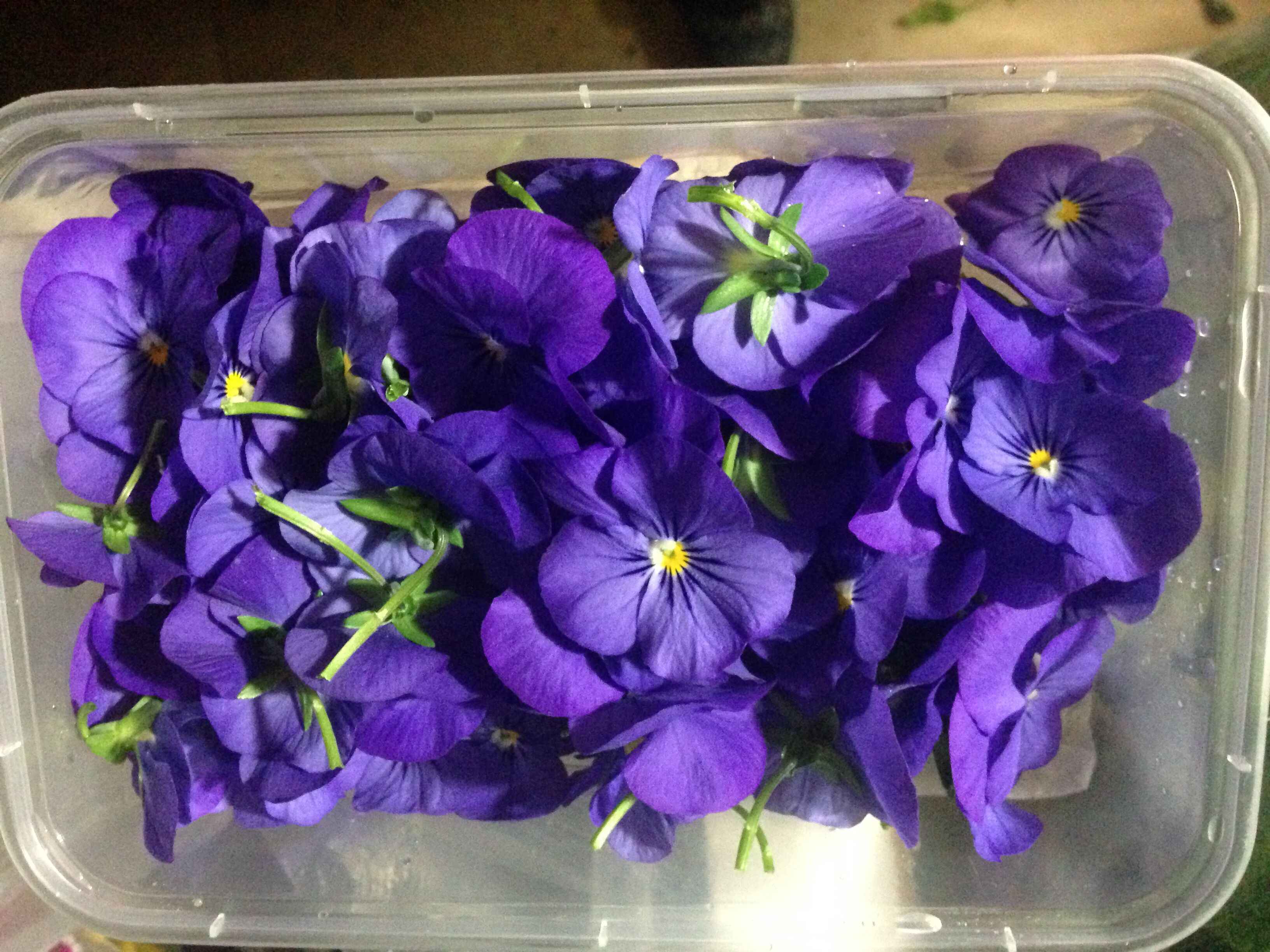 新鲜三色堇可食用鲜花烘焙西餐配菜酒店摆盘装饰点缀花草40朵左右