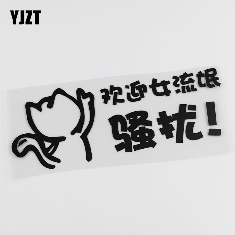 yjzt 划痕遮挡车贴 个性文字 欢迎女流氓骚扰搞笑车身贴纸 hy632