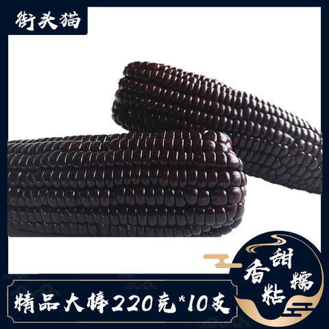 东北玉米黑糯玉米非转基因真空微甜鲜玉米新鲜黑玉米220g10根包邮