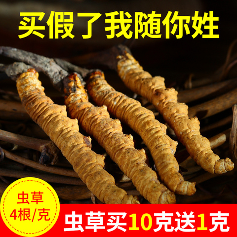 青海玉树冬虫夏草正品野生西藏虫草非那曲冬虫草精选4根/克包邮