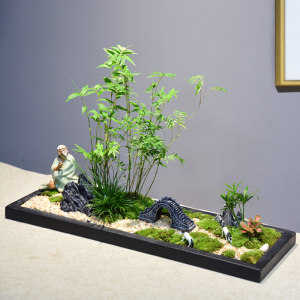 米竹盆栽室内植物凤尾竹办公客厅桌面中式创意假山微景观竹子盆景