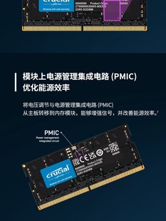 正品镁光颗粒英睿达ddr5 16G 32G 4800 5600笔记本电脑内存条ecc