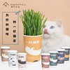 尾巴生活一杯猫草猫薄荷盆栽种子猫零食宠物种植套装猫薄荷草66g|ms 尾巴生活一杯猫草猫薄荷盆栽种子猫零食宠物种植套装猫薄荷草66g|ms