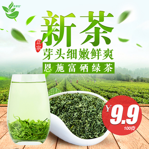 颂禄堂恩施富硒绿茶2019春茶新茶毛尖高山茶叶散装袋装浓香型100g