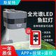 斯星特LED水草灯溪流原生缸WRGB全光谱兰寿爆藻出苔灯金鱼缸筒灯