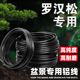 罗汉松专用盆景造型工具铝丝铝线盘扎铝丝线蟠扎园艺铁丝花卉定型