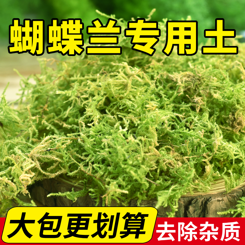 水苔蝴蝶兰专用干苔藓纯天然青苔营养