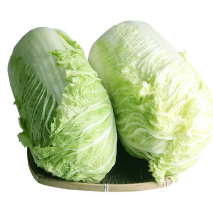 东北大白菜新鲜农家蔬菜小菜包心青菜整棵可做酸菜辣白菜9斤包邮
