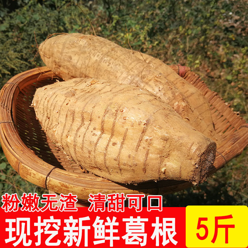 现挖新鲜野生葛根煲汤野生葛根片无渣5斤葛根解酒葛根