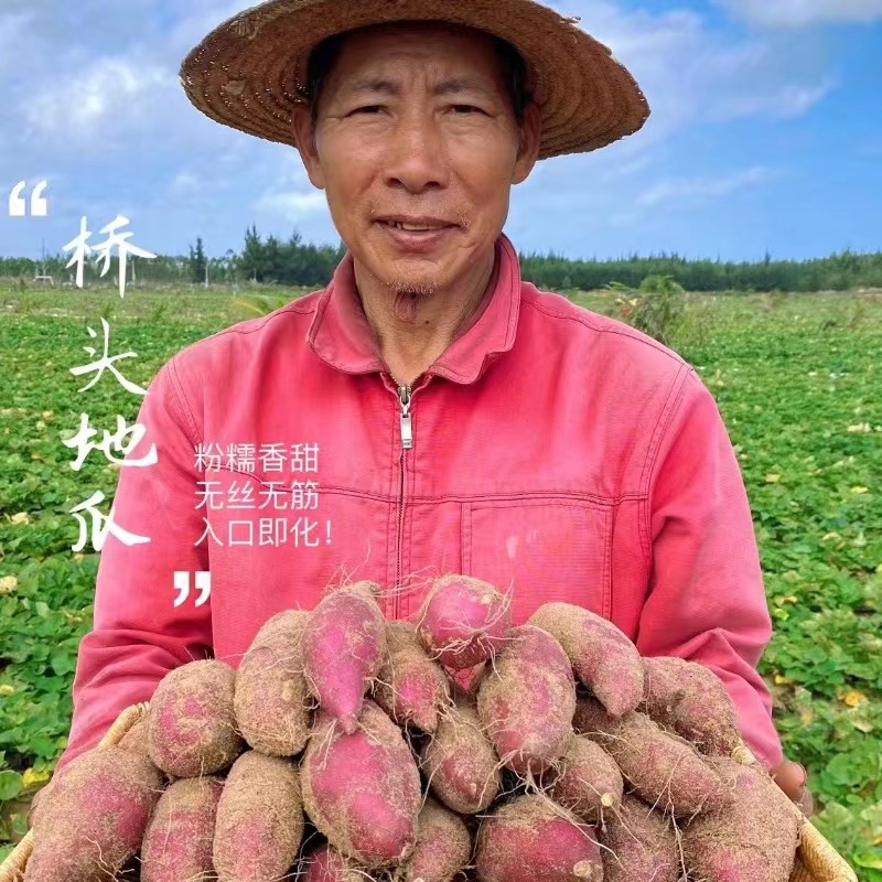 正宗海南澄迈桥头地瓜当季新鲜富硒沙