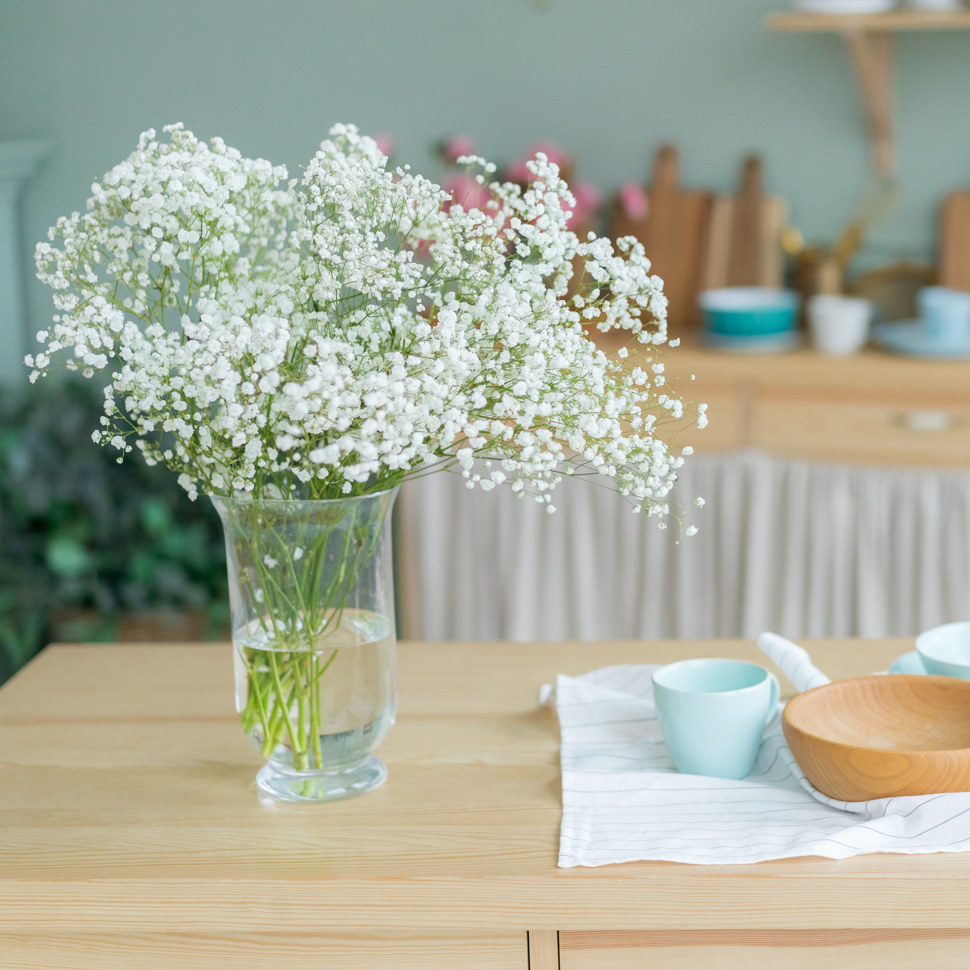 乐作flora|鲜花云南直发满天星鲜切花1束任意2扎顺丰空运包邮已售 39