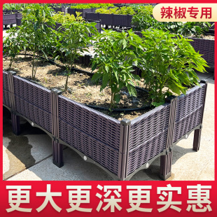 阳台辣椒专用蔬菜种植箱特大加厚长方形户外花箱庭院塑料种菜花盆
