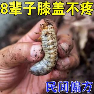 治膝盖疼痛膏关节积液积水修复半月板软骨磨损撕裂滑膜焱专用贴膏