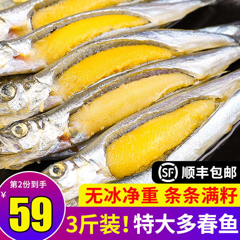 多春魚滿籽新鮮進口冷凍包郵海鮮水産鮮活特大多籽魚海魚燒烤食材在類目 水產肉類/新鮮蔬果/熟食, 海鮮/水產品/製品, 海鮮魚類, 多春魚(新)中 - 來自Buy2taobao.com提供專業的淘寶代購服務