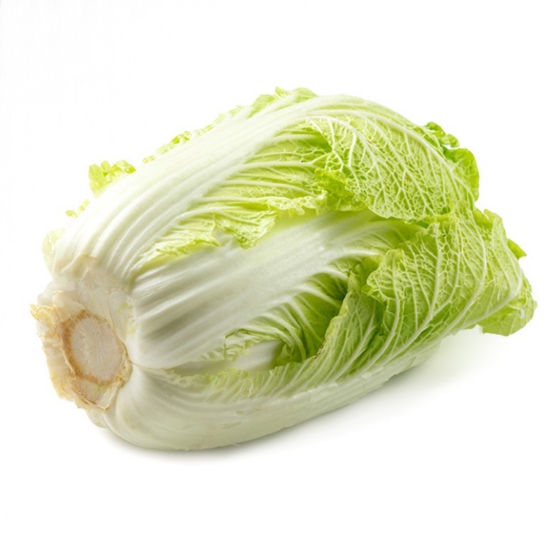 现摘现发上海本地大白菜3斤农家精挑时令蔬菜任意三件江浙沪包邮