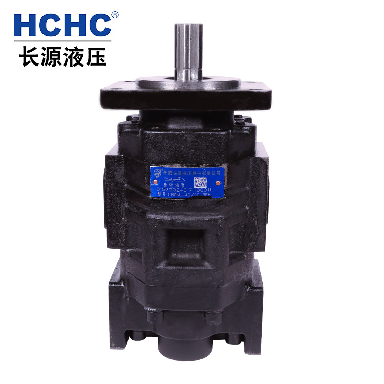 合肥长源液压泵齿轮油泵CBGNL-40/20-BFHL合肥长源液压股份有限公|ruв категории стандартная деталь/деталь/промышленный расходный материал, гидравлический элемент/система/устройство, 液压泵 - от Buy2taobao.com для оказания профессиональной услуги покупки агента Taobao