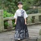 男童汉服2024新款夏季国学服男孩古风中国风夏装短袖书生儿童宋制