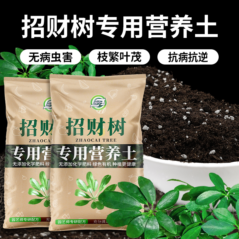 招财树专用土有机营养土八方来财盆栽种植养花土育苗优质有机肥料