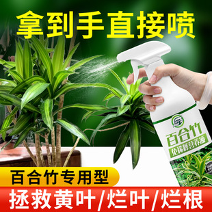 百合竹肥料免稀释营养液金边柳叶专用肥活力促生长绿植生根氮磷钾
