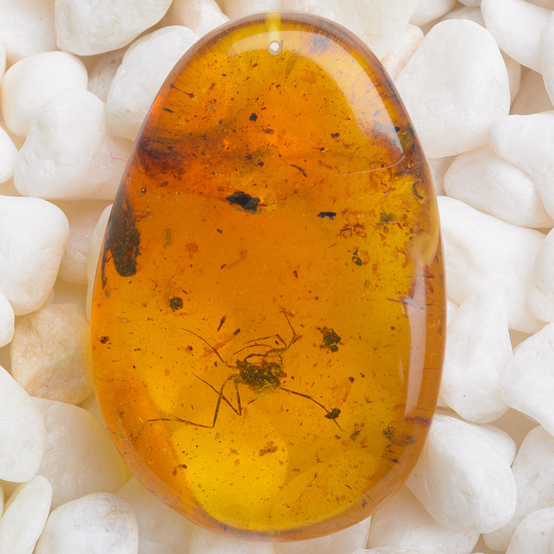 10.42g不含链 缅甸琥珀【罕见大蜘蛛虫珀裸料随形挂件】wyy7-14