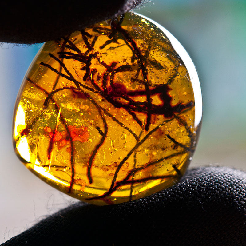 映阳琥珀 纯天然缅甸琥珀【植物花珀】