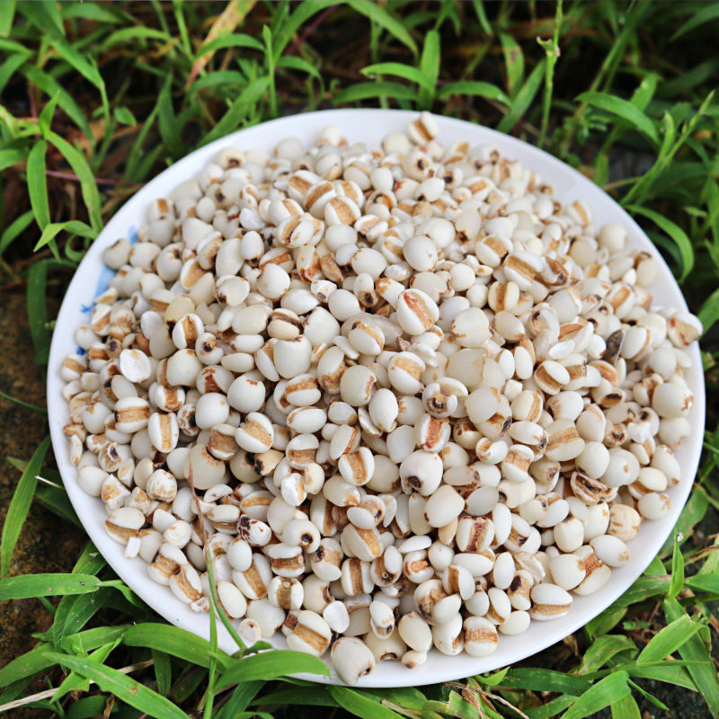 六掌柜贵州农家小薏米500g薏米仁薏仁米苡颗粒饱满苡米五谷粗杂粮