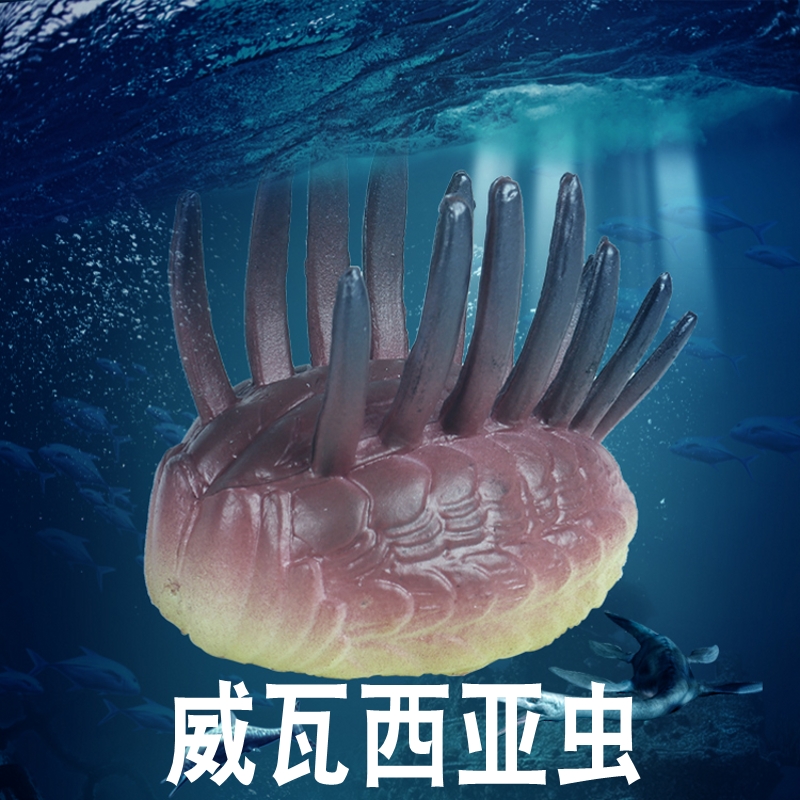 林畅模玩寒武纪史前海洋生物威瓦西亚虫模型儿童仿真玩具史前动物